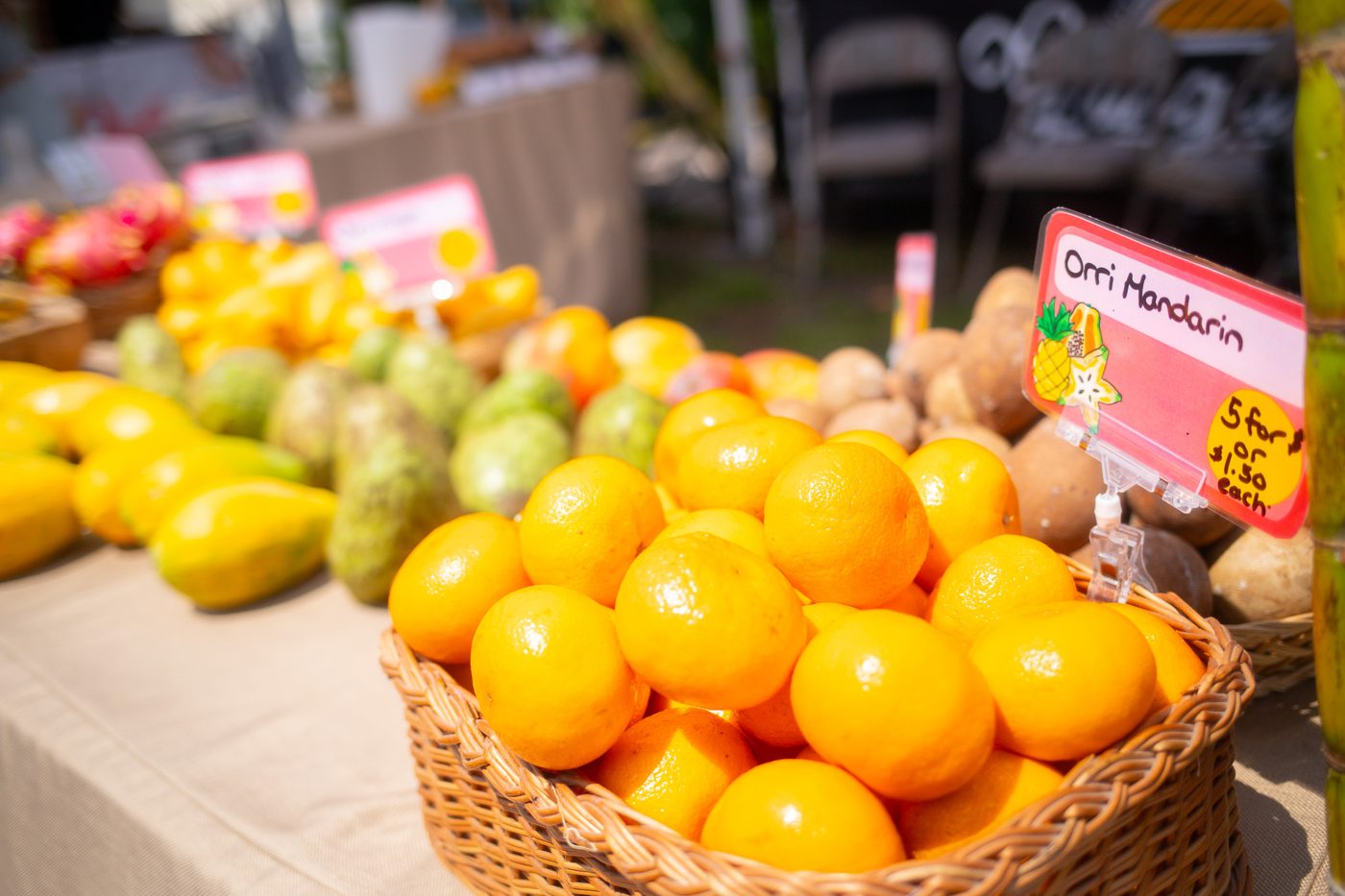 Coco Market Delray
