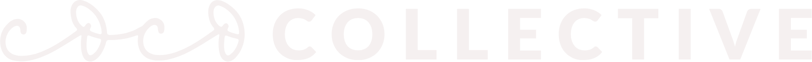 Coco Collective