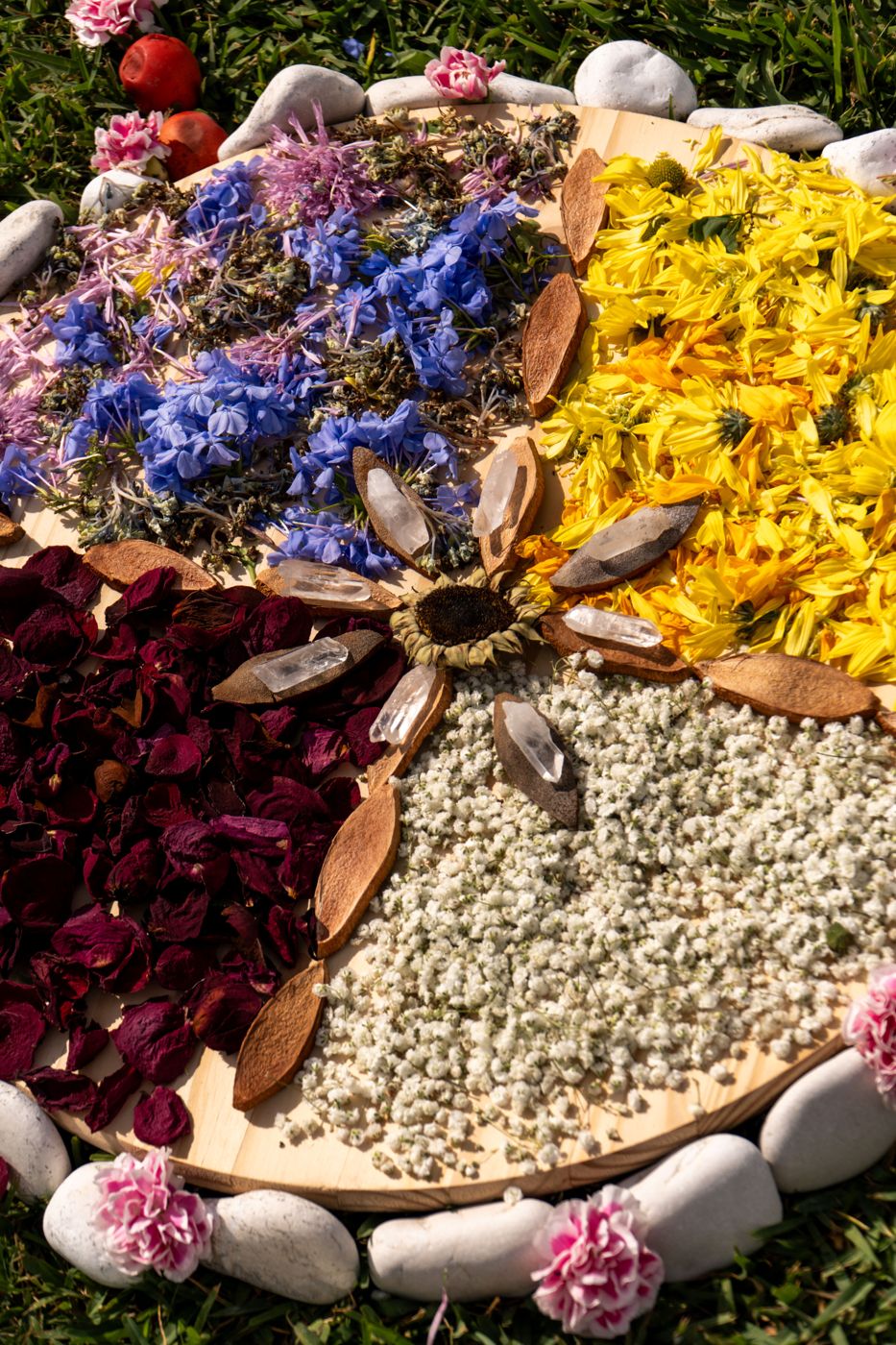Flower mandala of dried petals