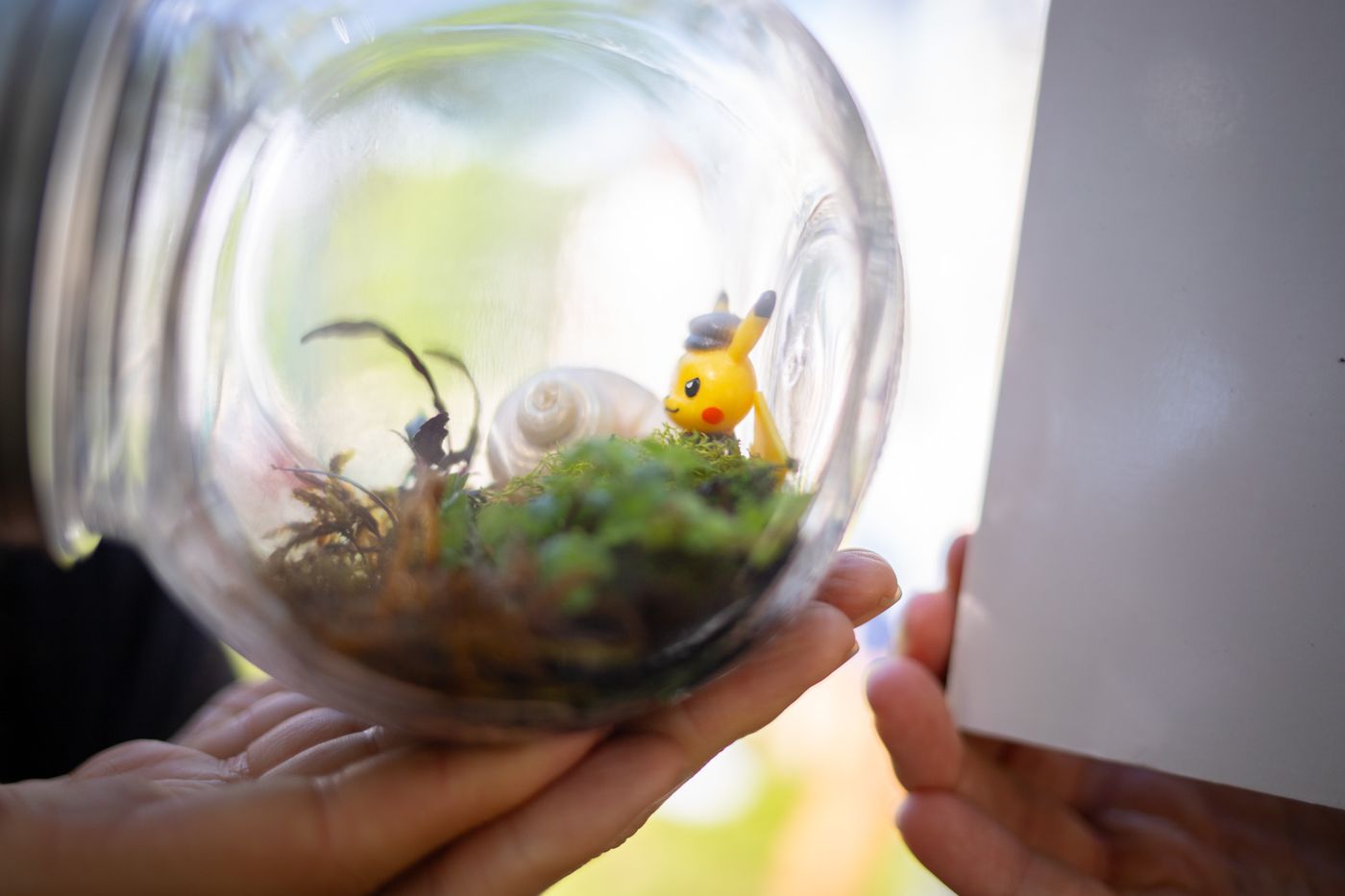 Make-your-own terrarium in a glass globe